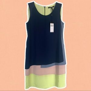Colorblock BCBG Shift Tank Dress